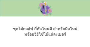 ชุดไม้กอล์ฟ ยี่ห้อไหนดี สำหรับมือใหม่ พร้อมวิธีใช้ไม้แต่ละเบอร์ 